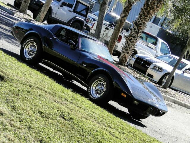 Chevrolet Corvette 1979 image number 13