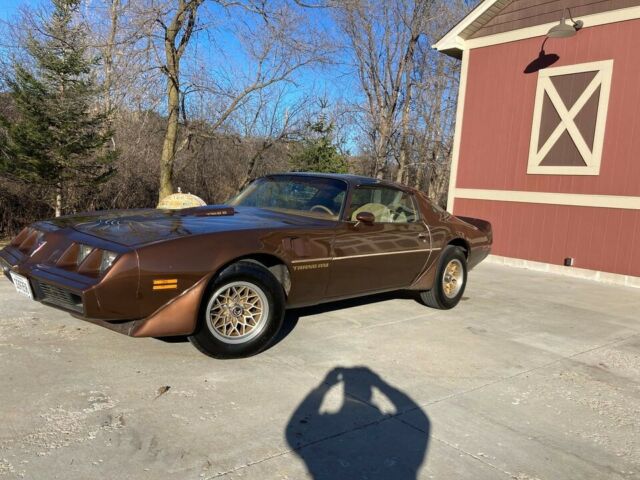 Pontiac Trans Am 1979 image number 10