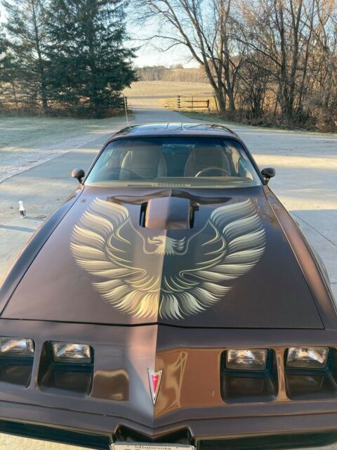 Pontiac Trans Am 1979 image number 16