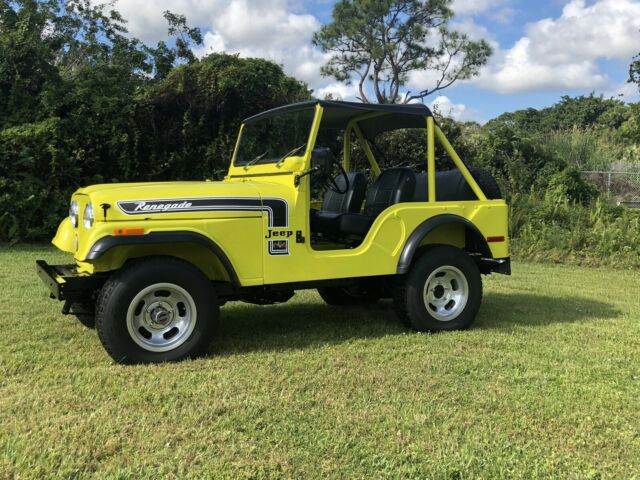 Jeep Renegade 1974 image number 13