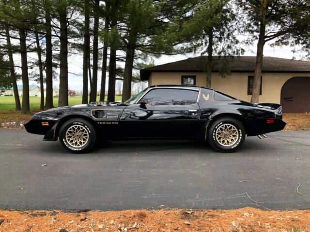 Pontiac Trans Am 1979 image number 6