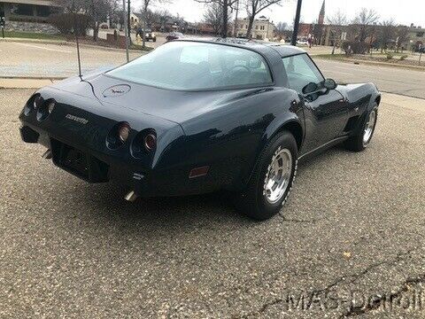 Chevrolet Corvette 1979 image number 16