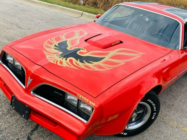 Pontiac Trans Am 1977 image number 1