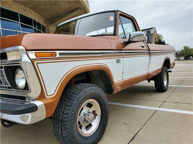 Ford F-150 1976 image number 3