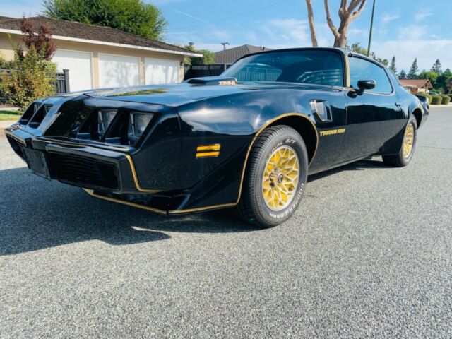 Pontiac Firebird 1979 image number 0