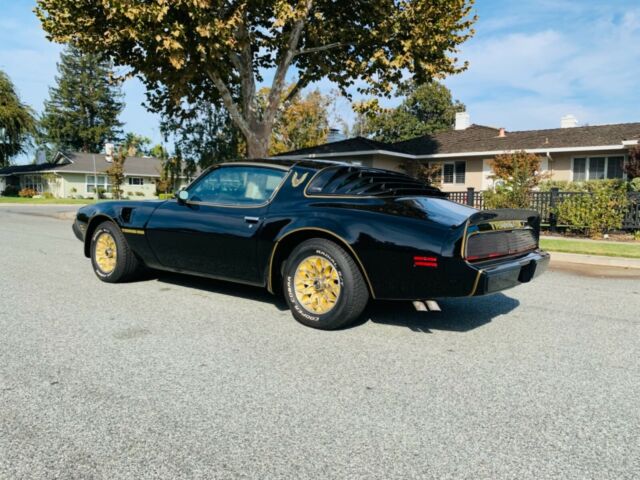 Pontiac Firebird 1979 image number 22