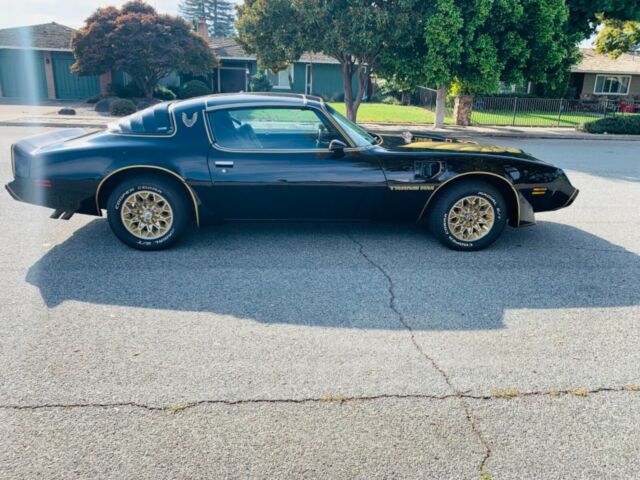 Pontiac Firebird 1979 image number 25