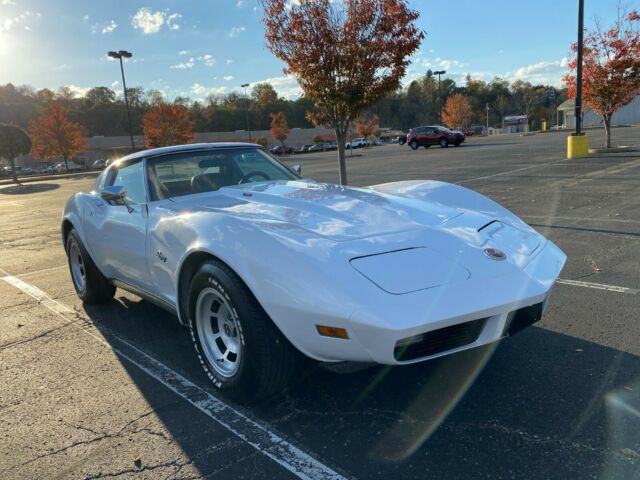 Chevrolet Corvette 1974 image number 2