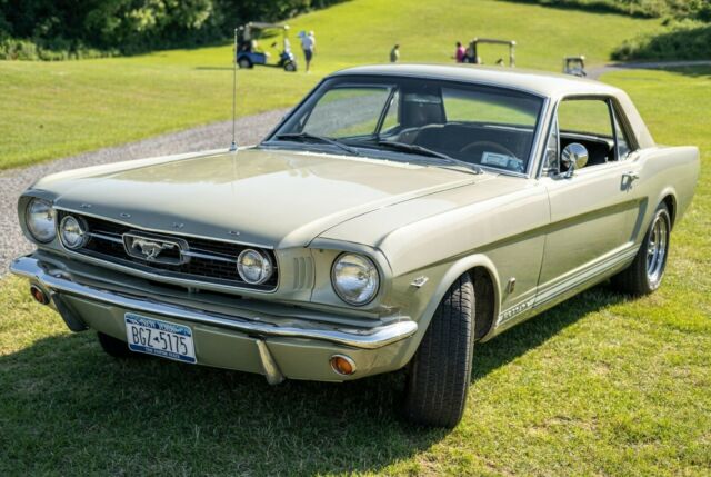 Ford Mustang 1966 image number 3