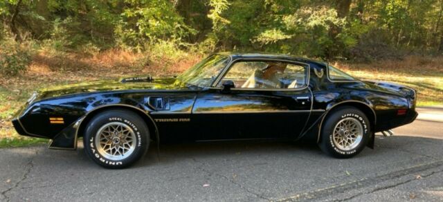 Pontiac Trans Am 1979 image number 1