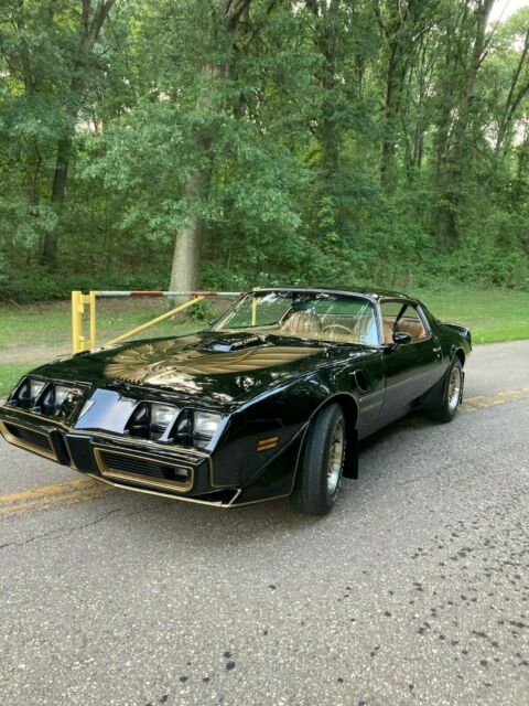 Pontiac Trans Am 1979 image number 16