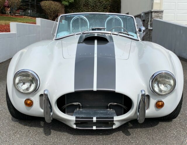 Shelby Cobra 1965 image number 26