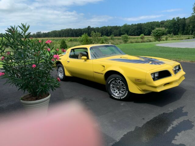 Pontiac Trans Am 1978 image number 1