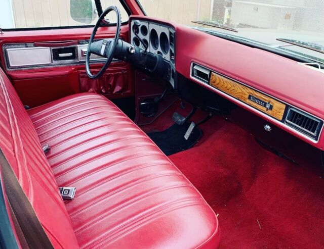 Chevrolet C-10 1979 image number 47