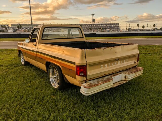 Chevrolet C-10 1978 image number 15