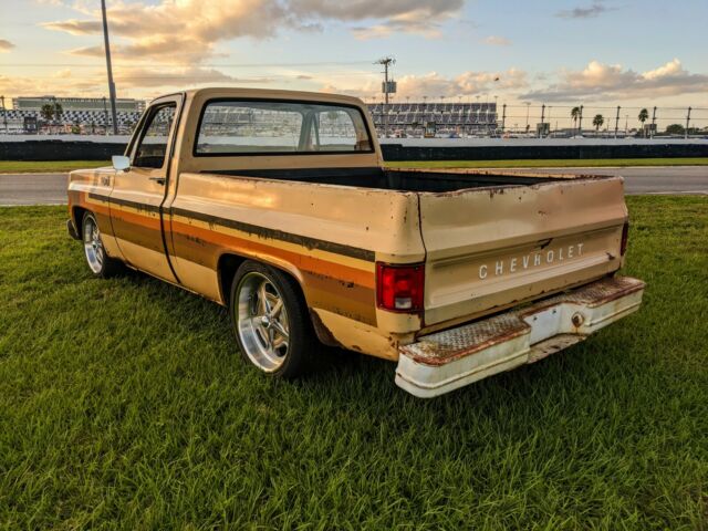 Chevrolet C-10 1978 image number 20