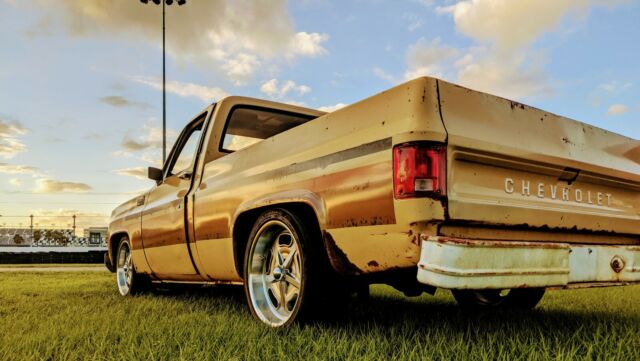 Chevrolet C-10 1978 image number 24