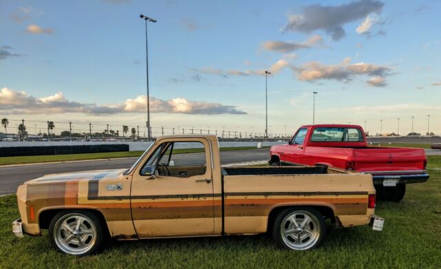 Chevrolet C-10 1978 image number 6