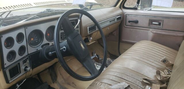 Chevrolet C/K Pickup 1500 1978 image number 0