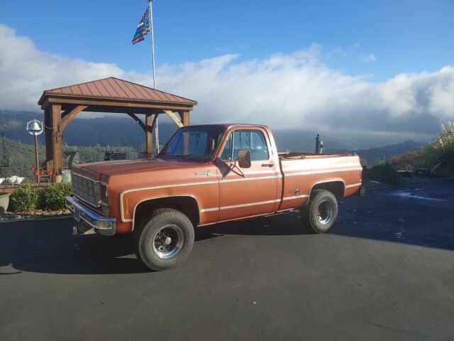 Chevrolet C10/K10 1977 image number 2