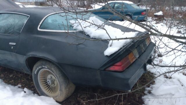 Chevrolet Camaro Z28 1979 image number 3