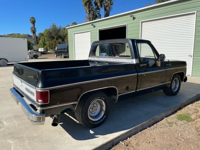 Chevrolet C-10 1979 image number 28