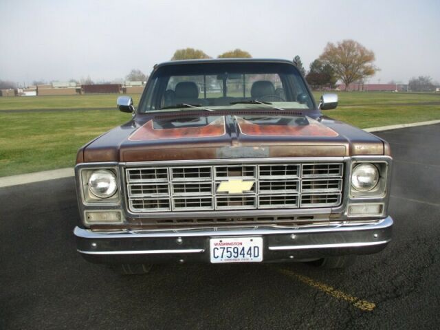 Chevrolet C-10 1979 image number 13