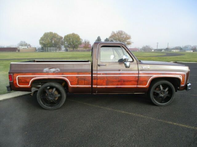 Chevrolet C-10 1979 image number 32