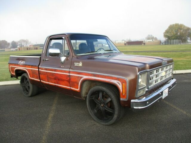 Chevrolet C-10 1979 image number 33