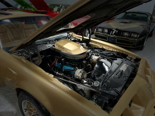 Pontiac Trans Am 1979 image number 38