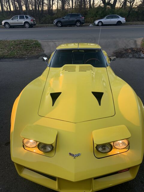 Chevrolet Corvette 5.7 1976 image number 0