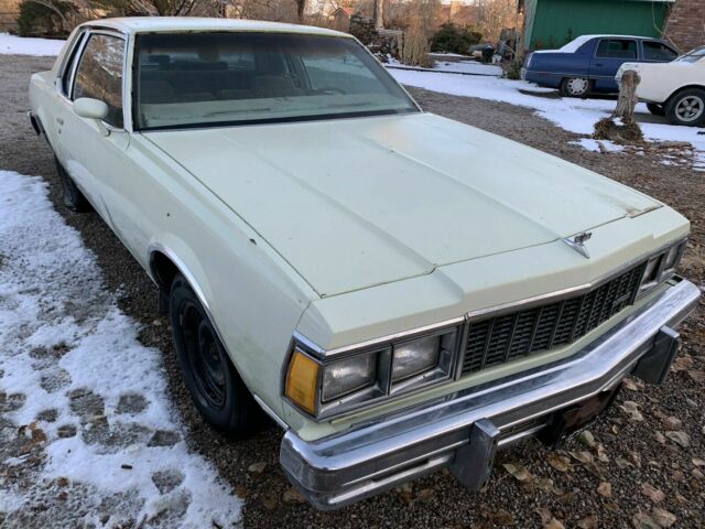 Chevrolet Caprice 5.7 1979 image number 17