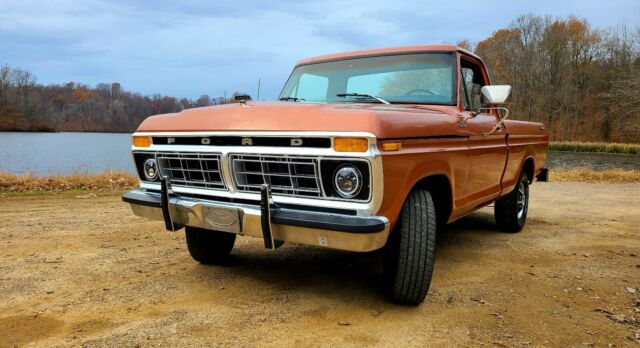 Ford F100 1977 image number 0