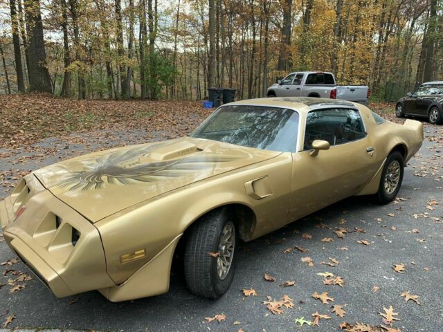 Pontiac Trans Am 1979 image number 24