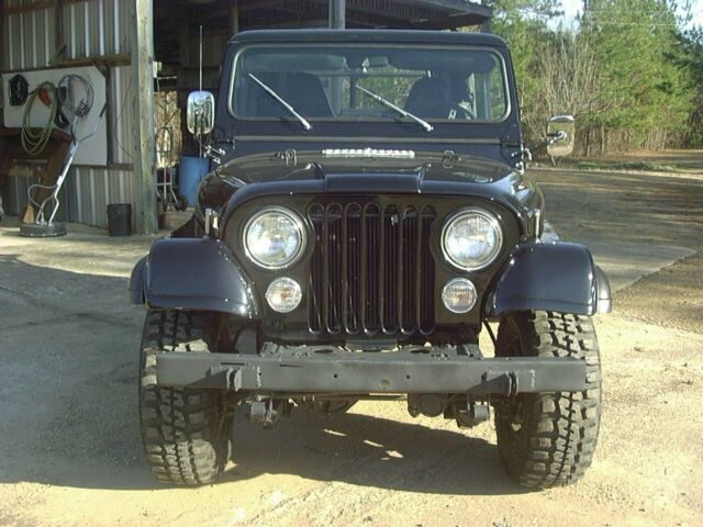 Jeep CJ 1978 image number 2