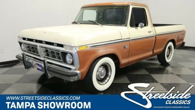 Ford F-100 1976 image number 0