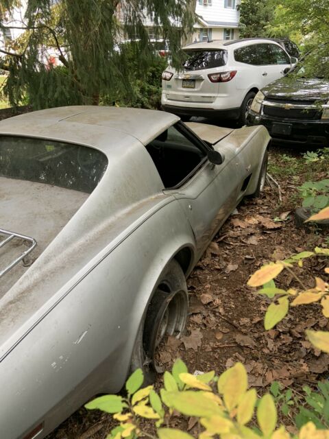 Chevrolet Corvette 5.7 1977 image number 3