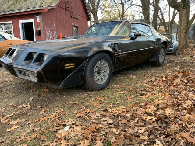 Pontiac Trans Am 1979 image number 0