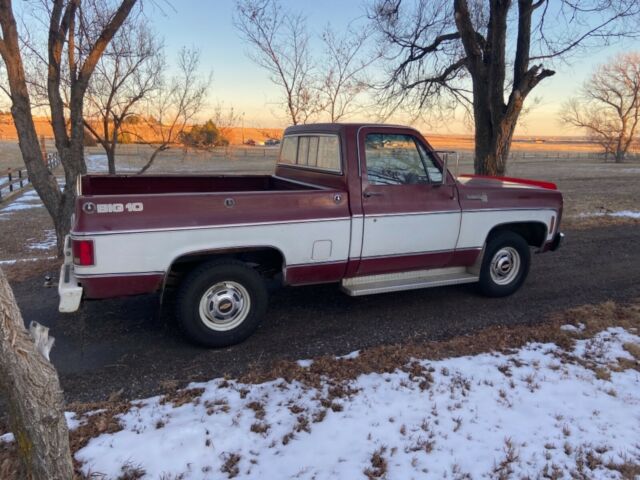 Chevrolet C-10 1979 image number 21