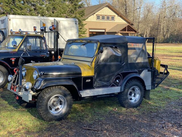 Jeep willy 1956 image number 10