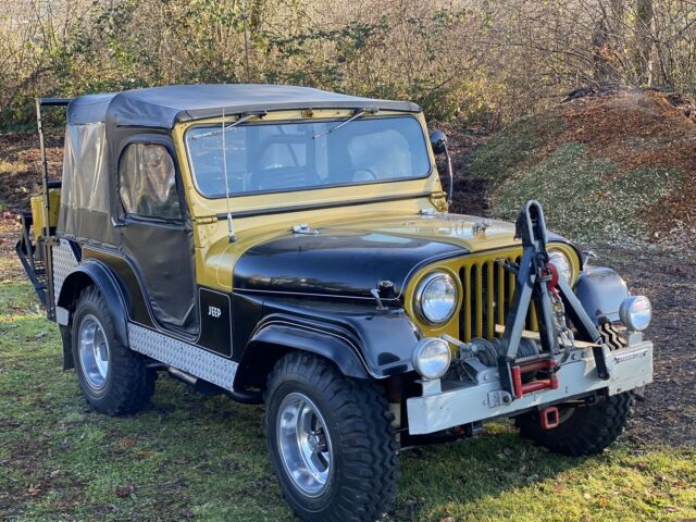 Jeep willy 1956 image number 8