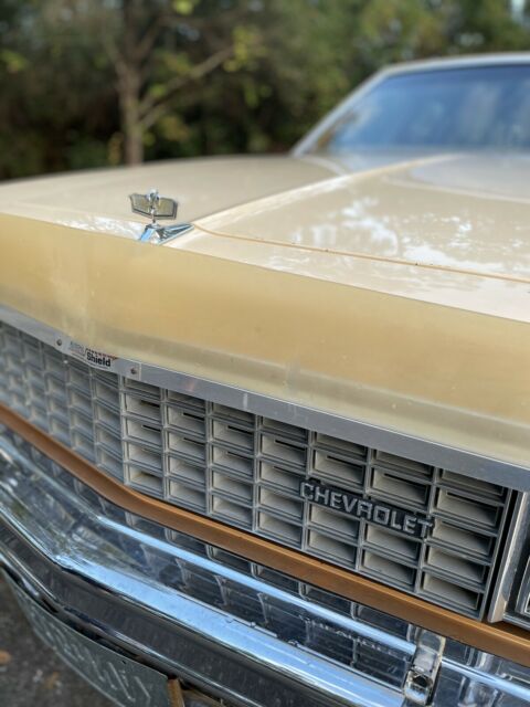 Chevrolet Caprice 1978 image number 26