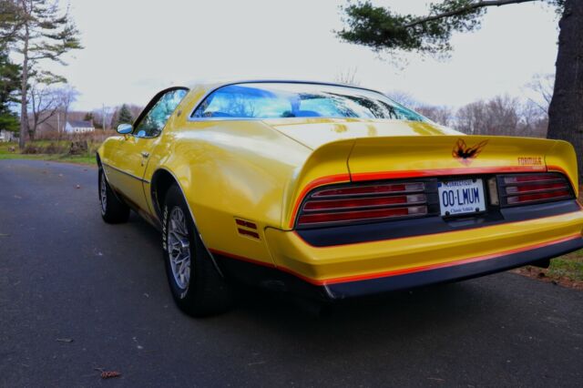 Pontiac Firebird 1977 image number 2