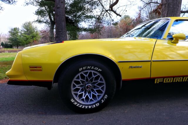 Pontiac Firebird 1977 image number 25