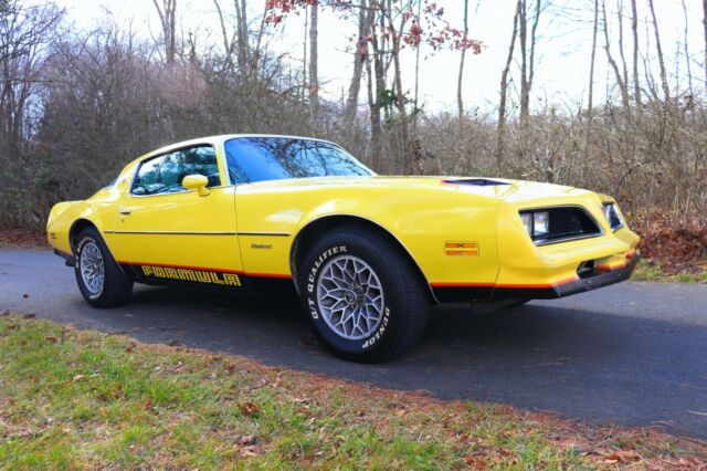 Pontiac Firebird 1977 image number 30