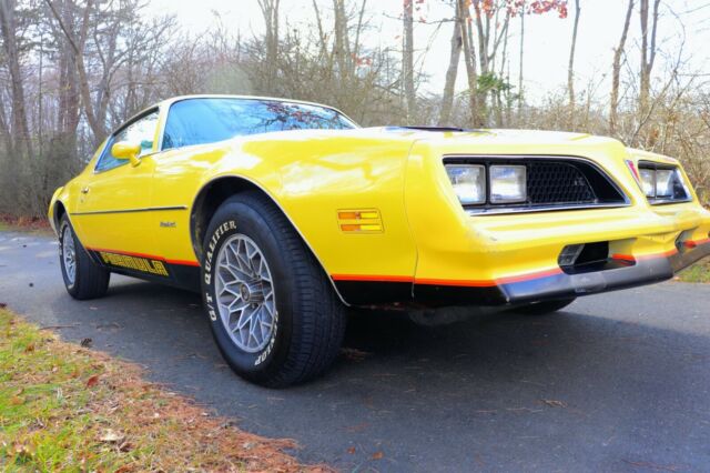 Pontiac Firebird 1977 image number 32