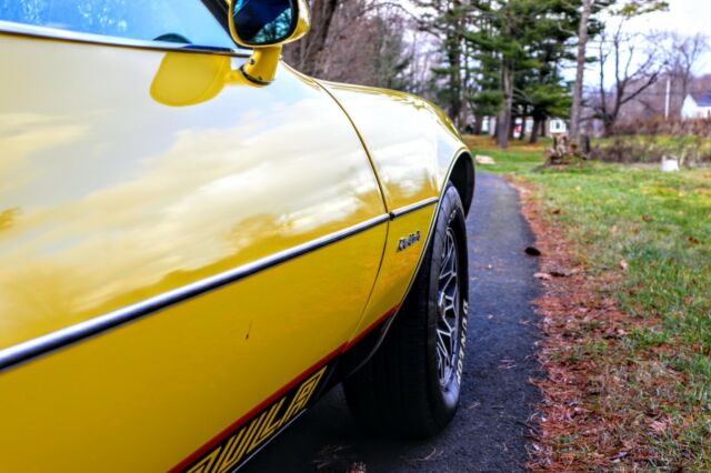 Pontiac Firebird 1977 image number 9