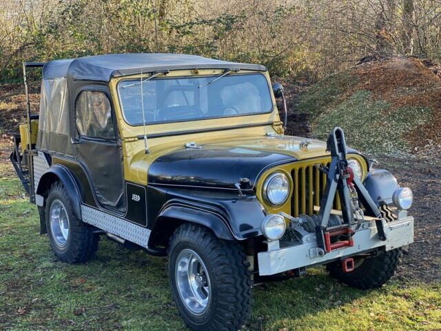 Jeep willy 1956 image number 0