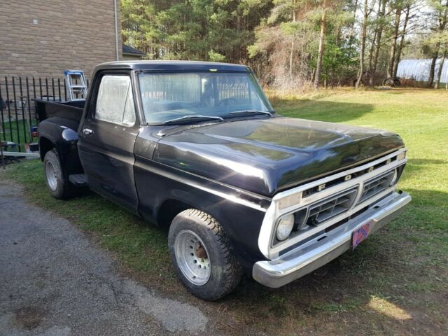 Ford F-100 1976 image number 0