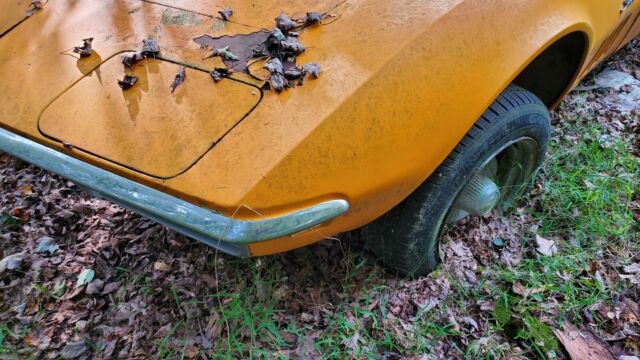 Chevrolet Corvette 1969 image number 3